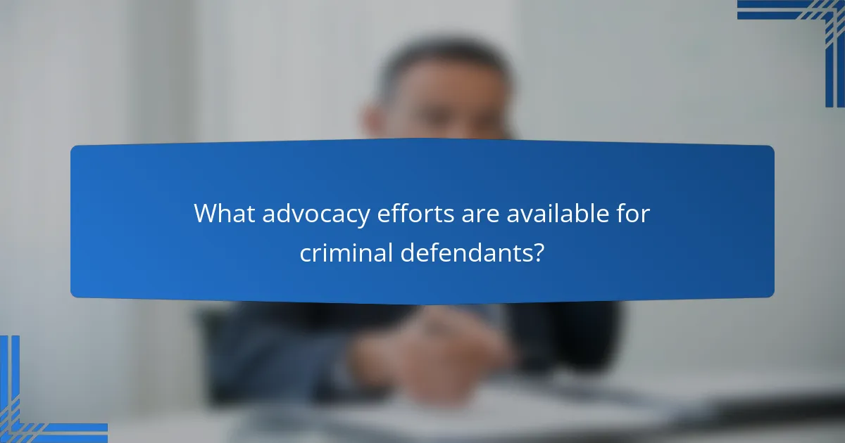 What advocacy efforts are available for criminal defendants?
