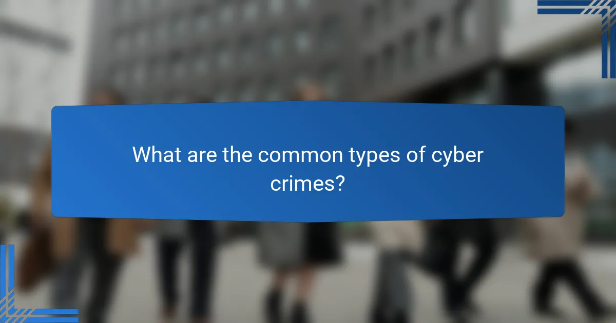 What are the common types of cyber crimes?