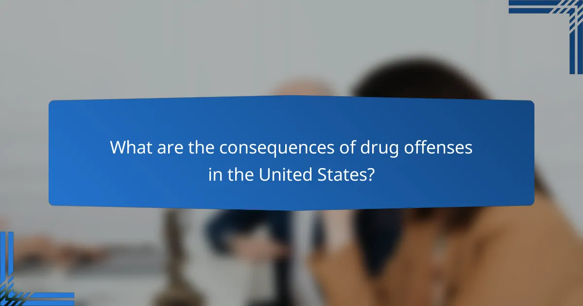 What are the consequences of drug offenses in the United States?