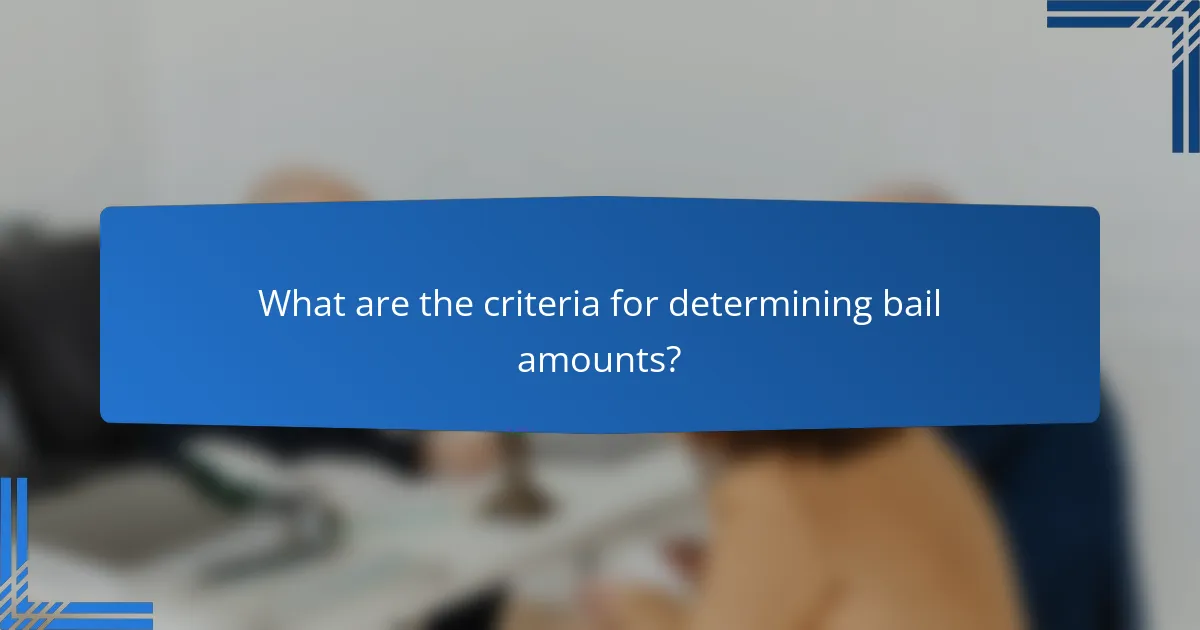 What are the criteria for determining bail amounts?