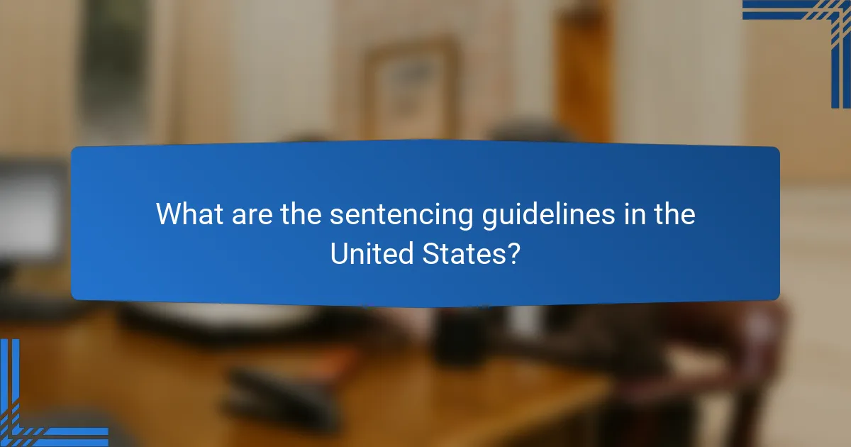 What are the sentencing guidelines in the United States?