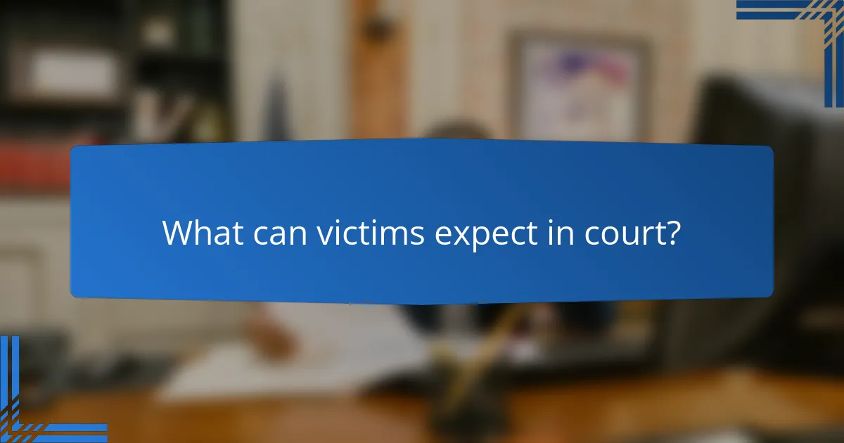 What can victims expect in court?