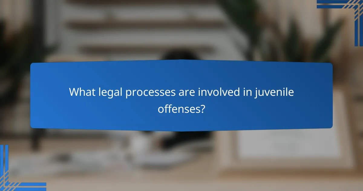 What legal processes are involved in juvenile offenses?