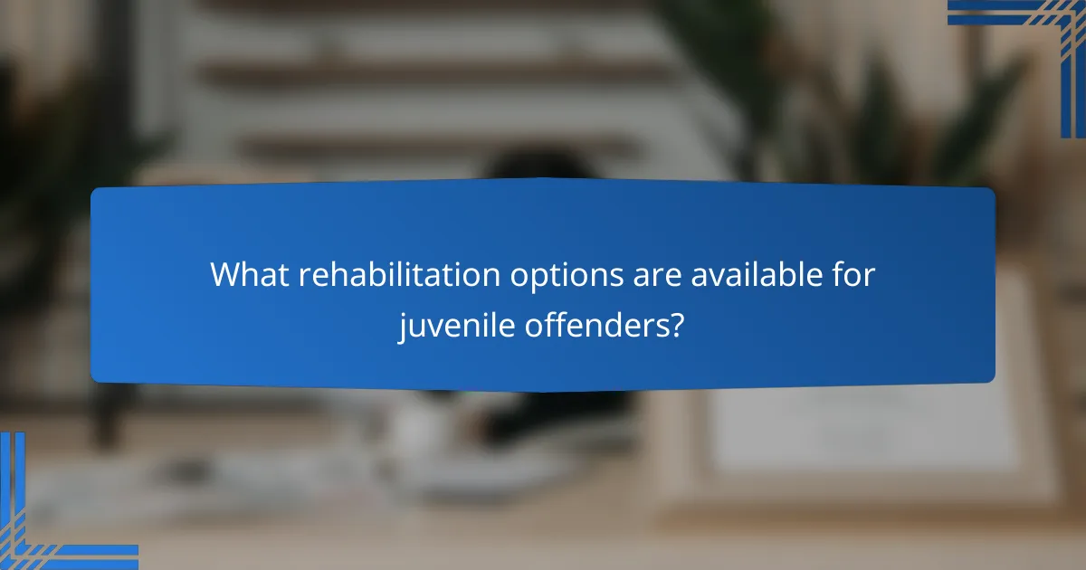 What rehabilitation options are available for juvenile offenders?